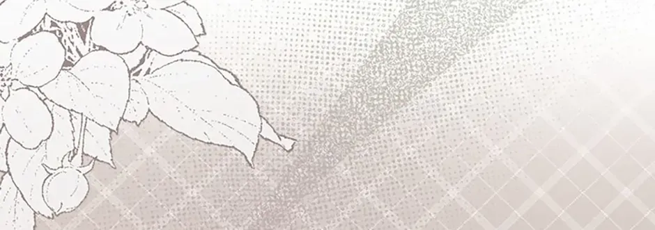 Catherine's Key to a Happy Life