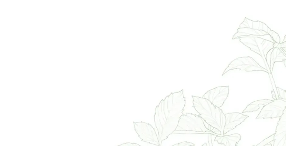 Catherine's Key to a Happy Life