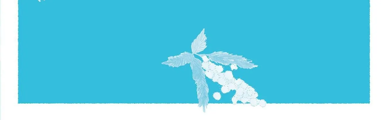 Koi Seyo Kimono Otome