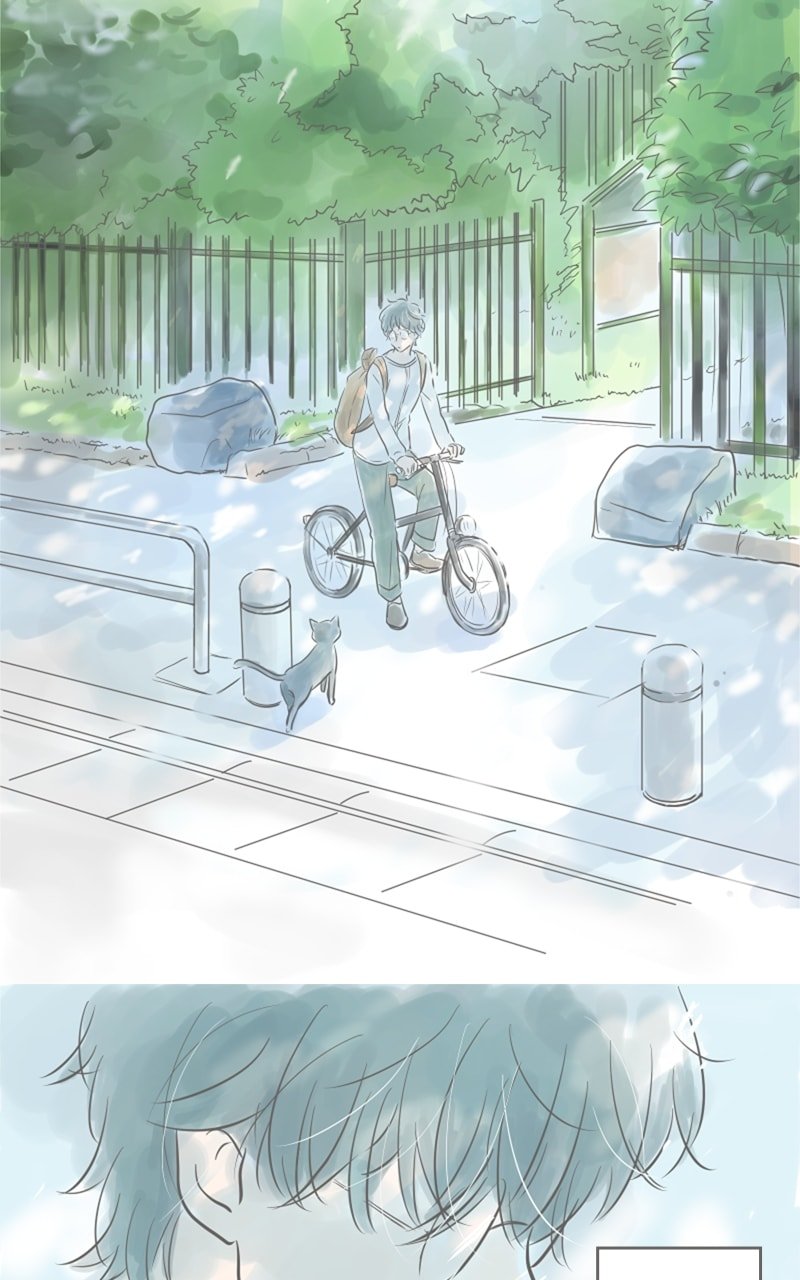 Amid the Changing Seasons