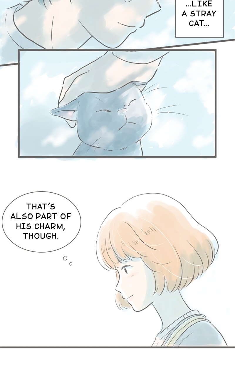 Amid the Changing Seasons