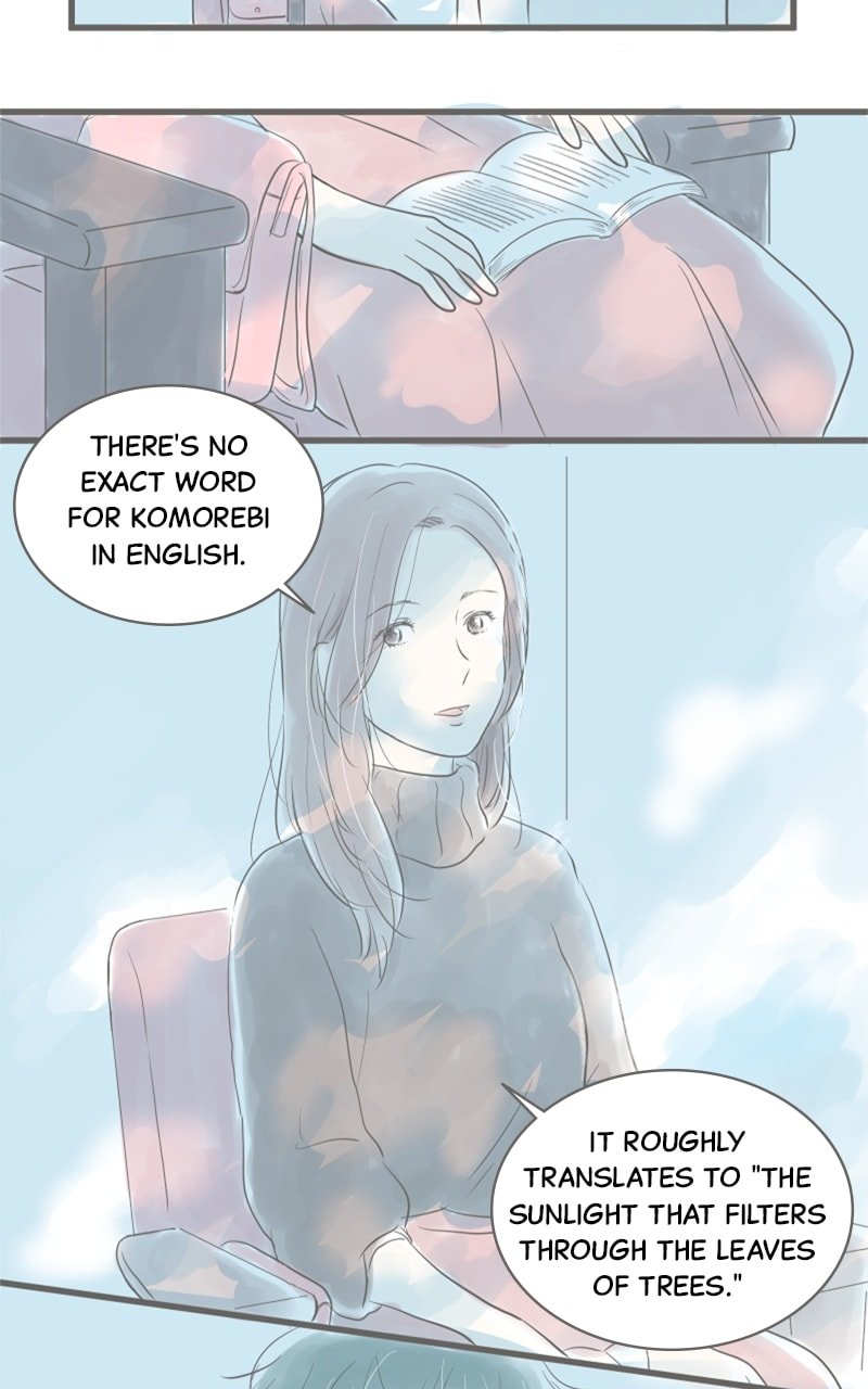 Amid the Changing Seasons