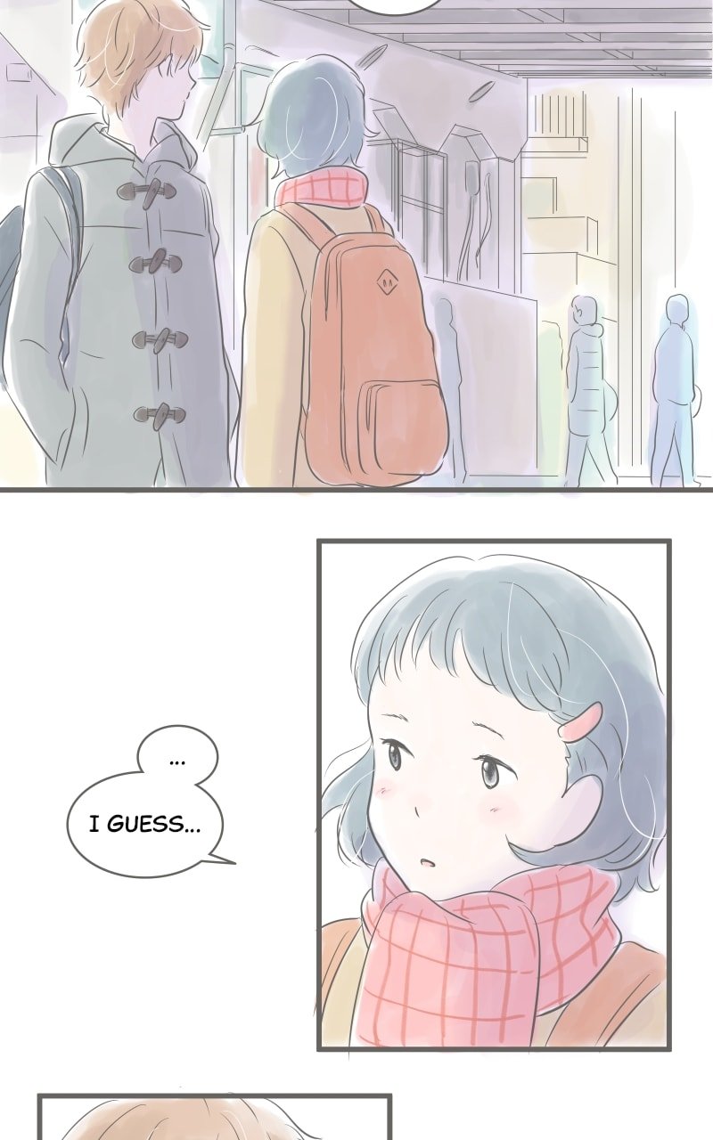 Amid the Changing Seasons