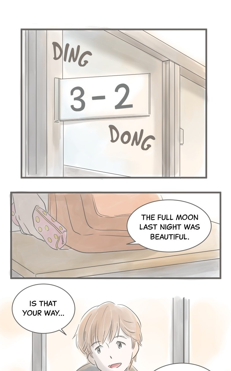 Amid the Changing Seasons
