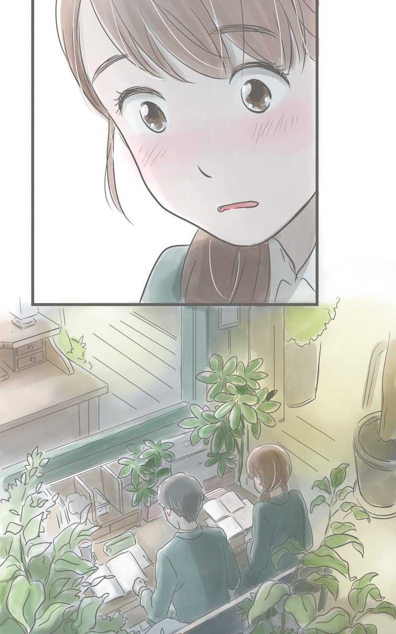Amid the Changing Seasons