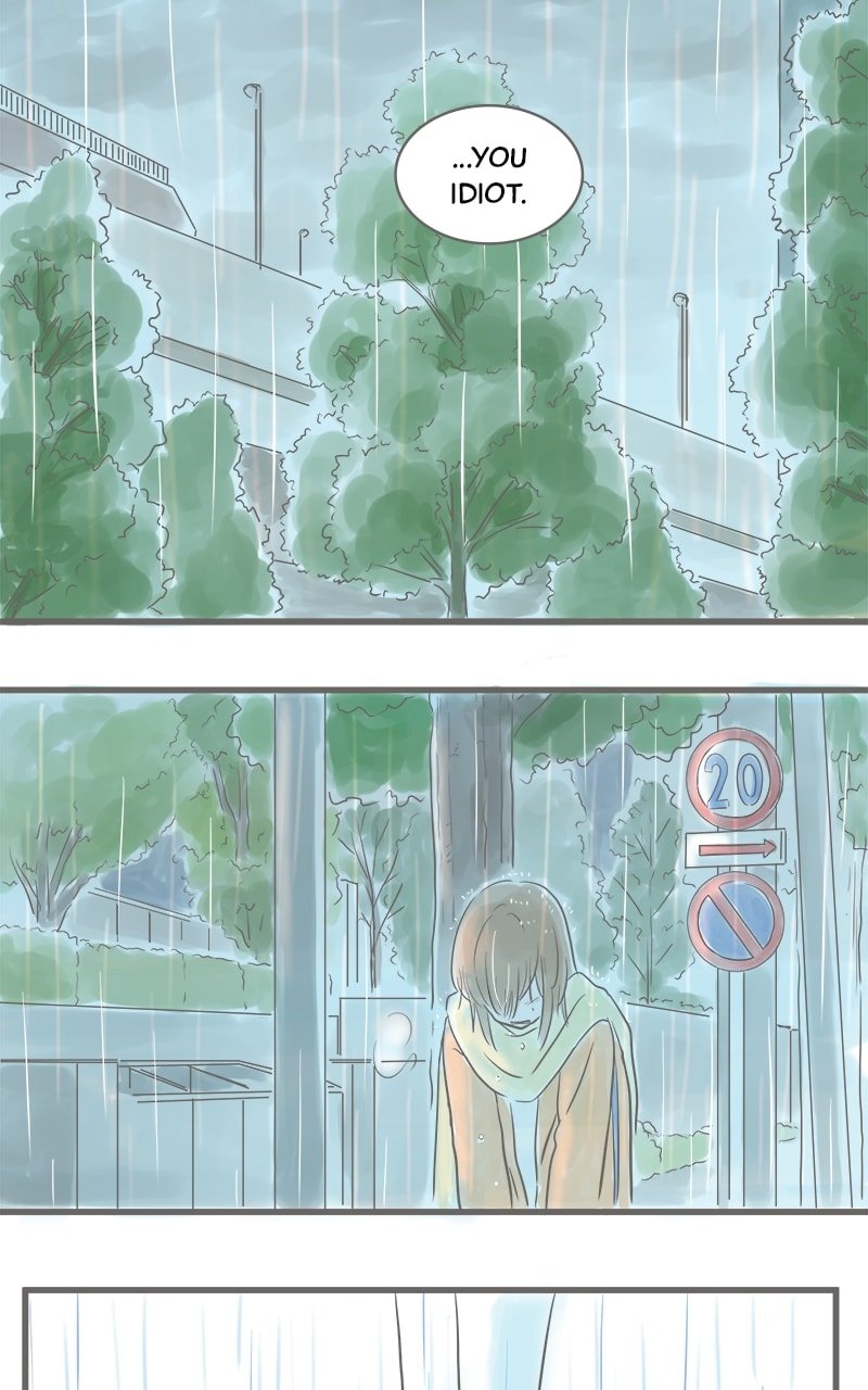 Amid the Changing Seasons