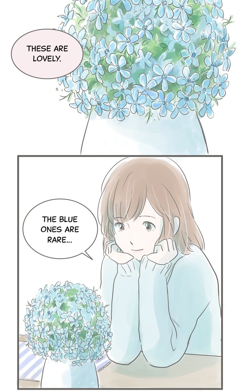 Amid the Changing Seasons