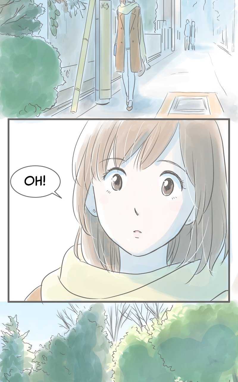 Amid the Changing Seasons