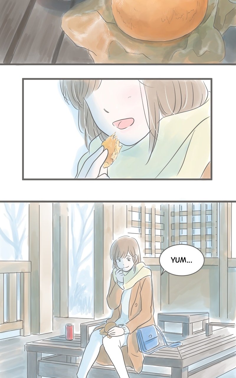 Amid the Changing Seasons