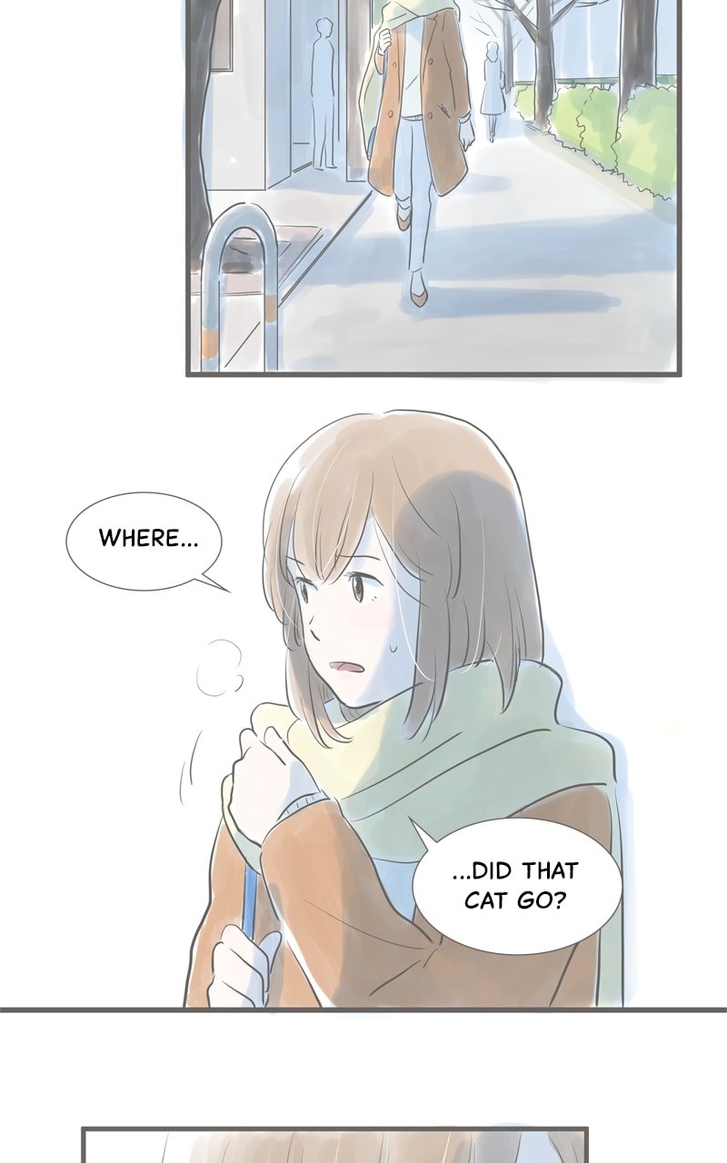 Amid the Changing Seasons