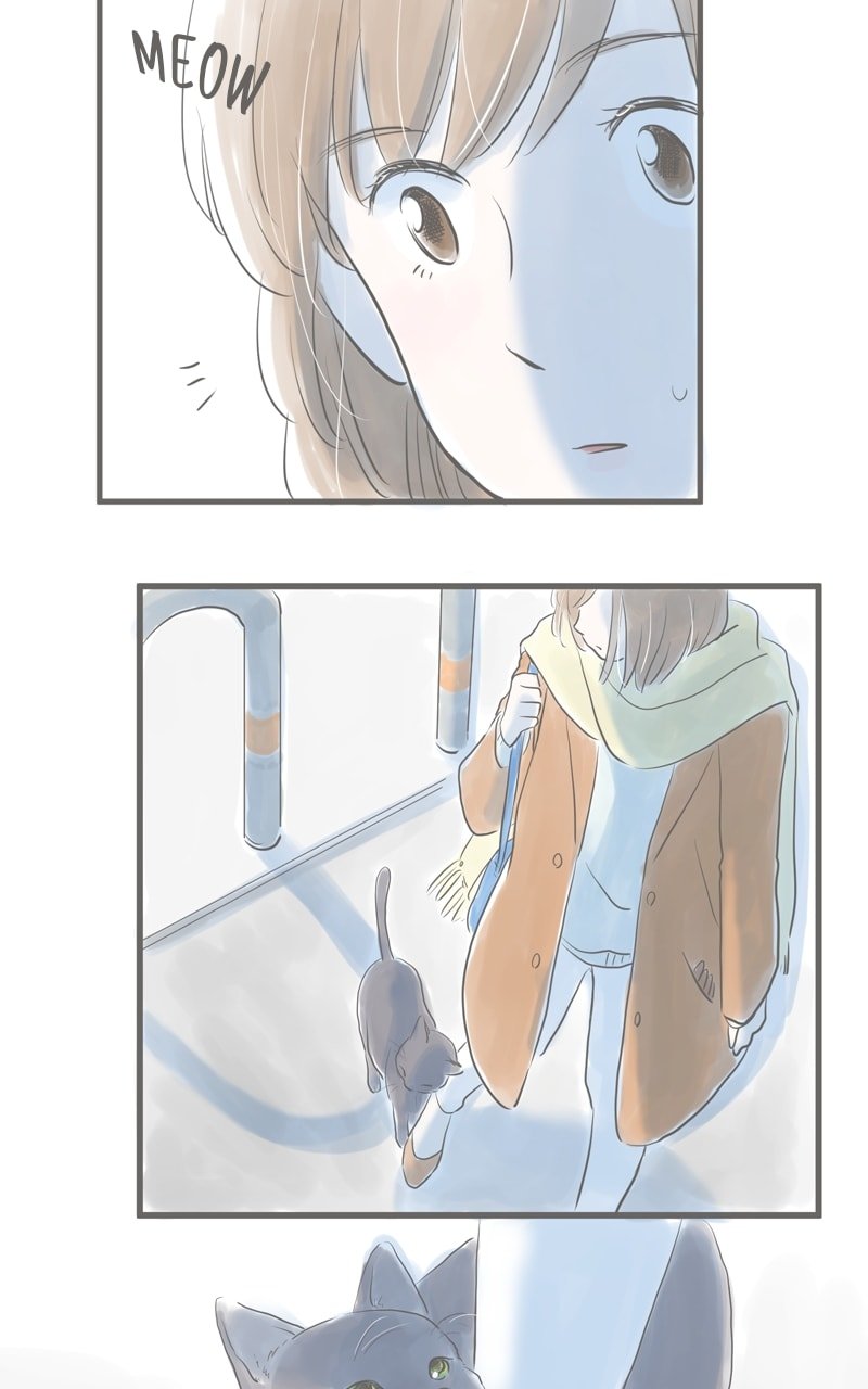 Amid the Changing Seasons