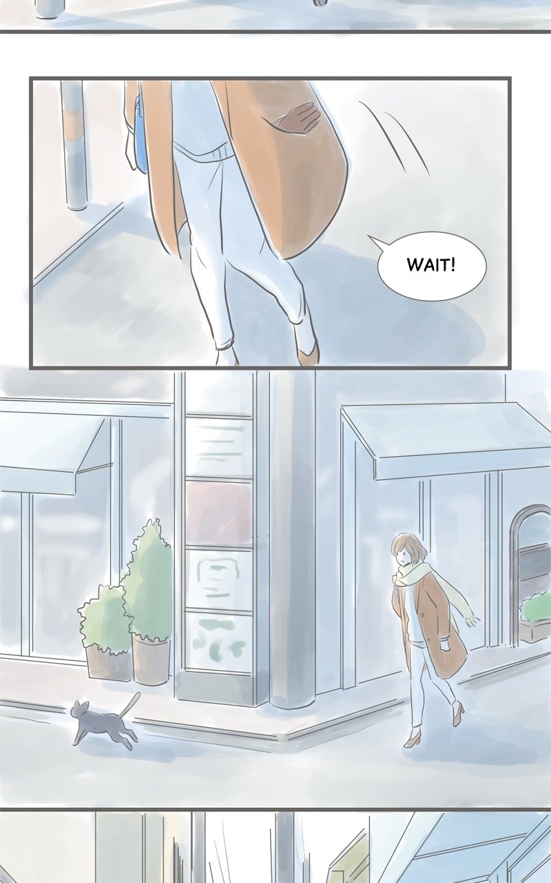 Amid the Changing Seasons