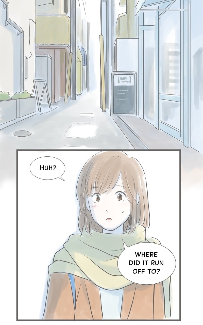 Amid the Changing Seasons