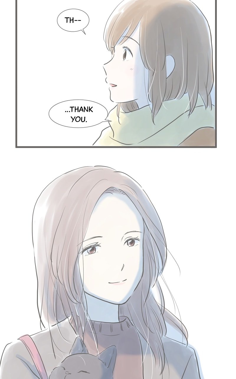Amid the Changing Seasons