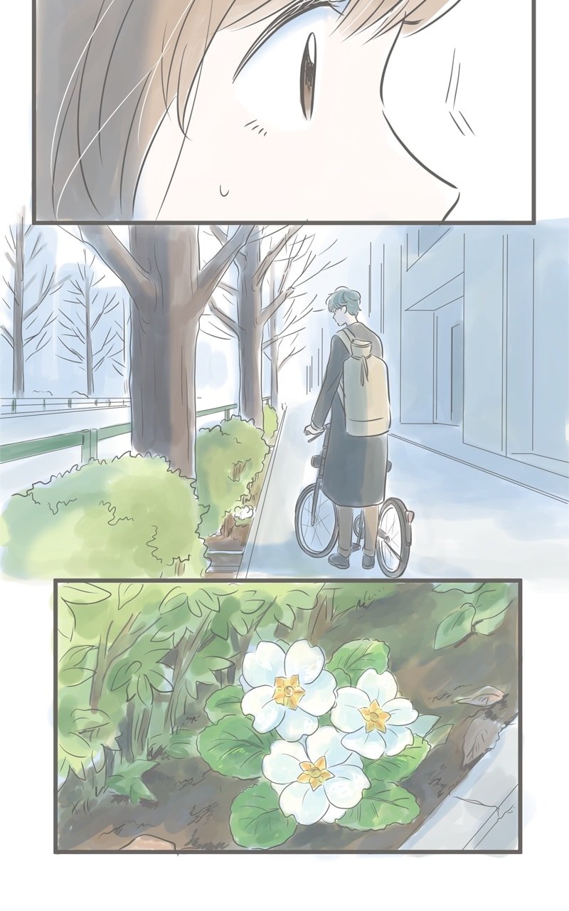 Amid the Changing Seasons