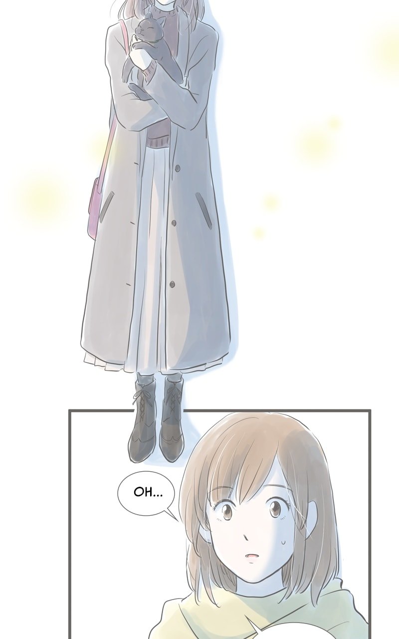 Amid the Changing Seasons