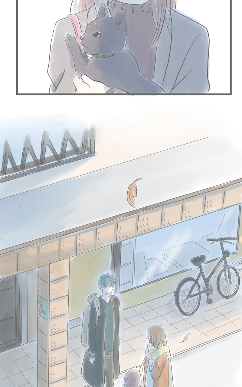 Amid the Changing Seasons