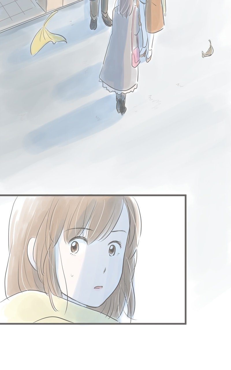 Amid the Changing Seasons