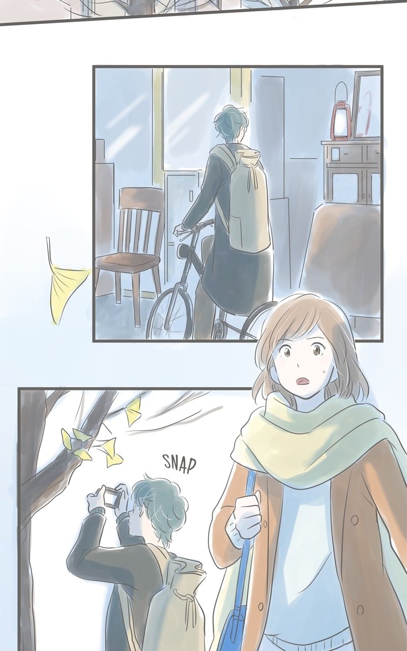 Amid the Changing Seasons