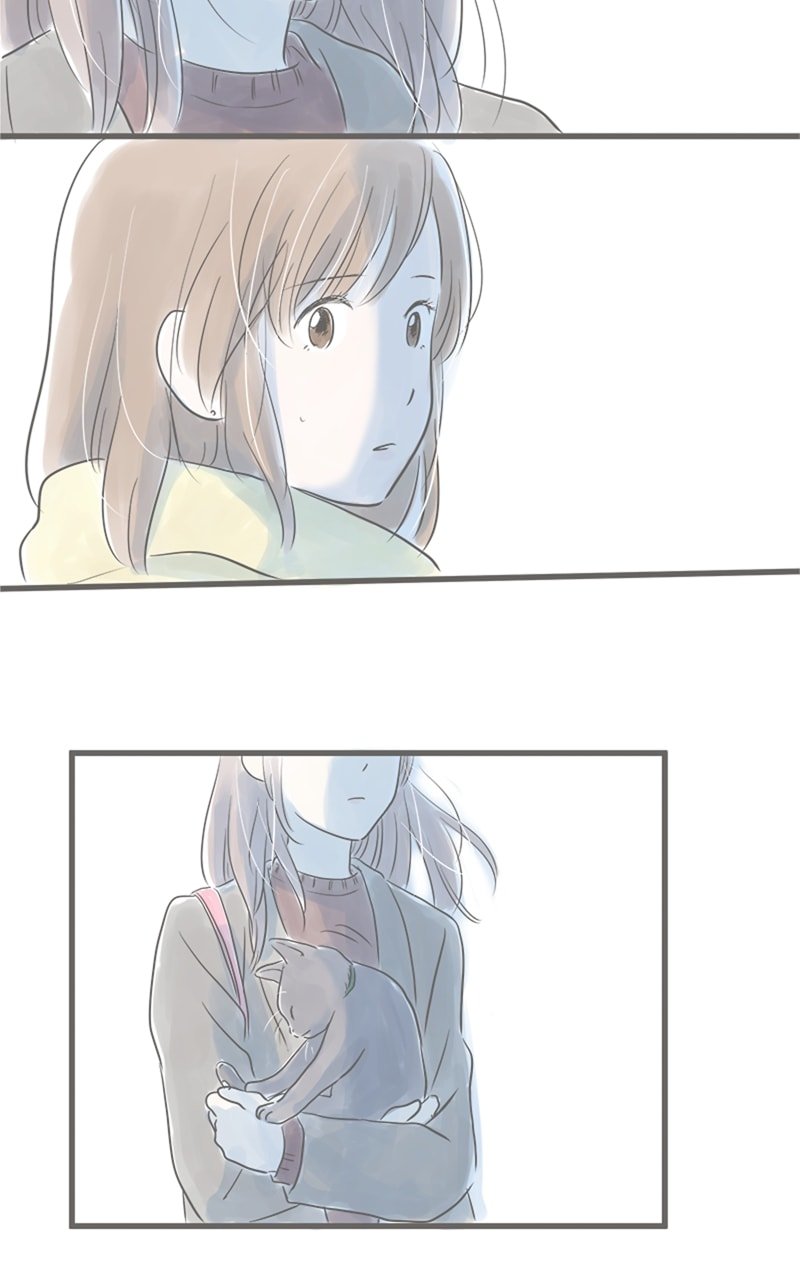 Amid the Changing Seasons