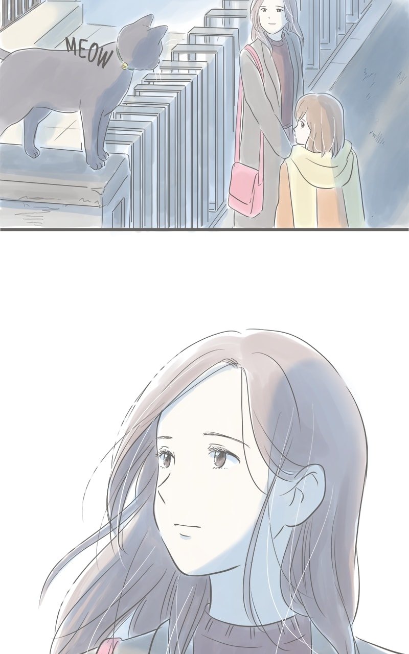 Amid the Changing Seasons