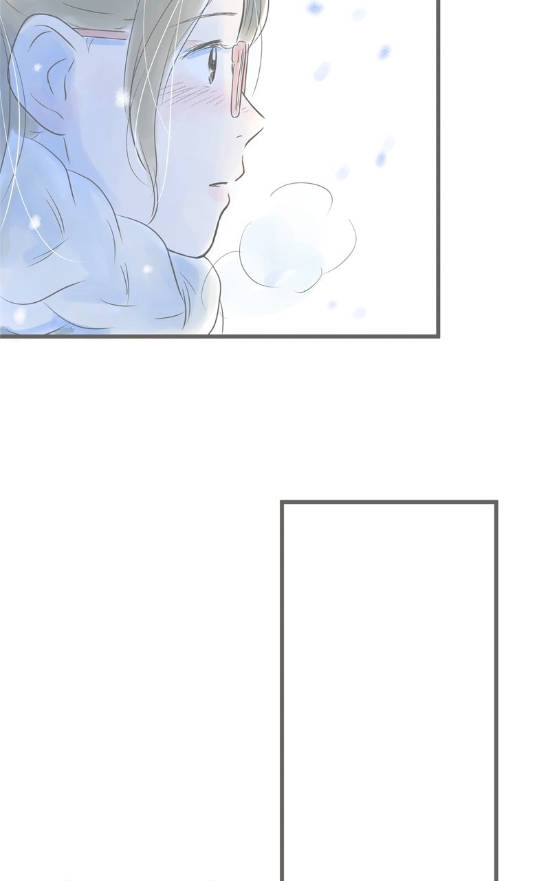 Amid the Changing Seasons