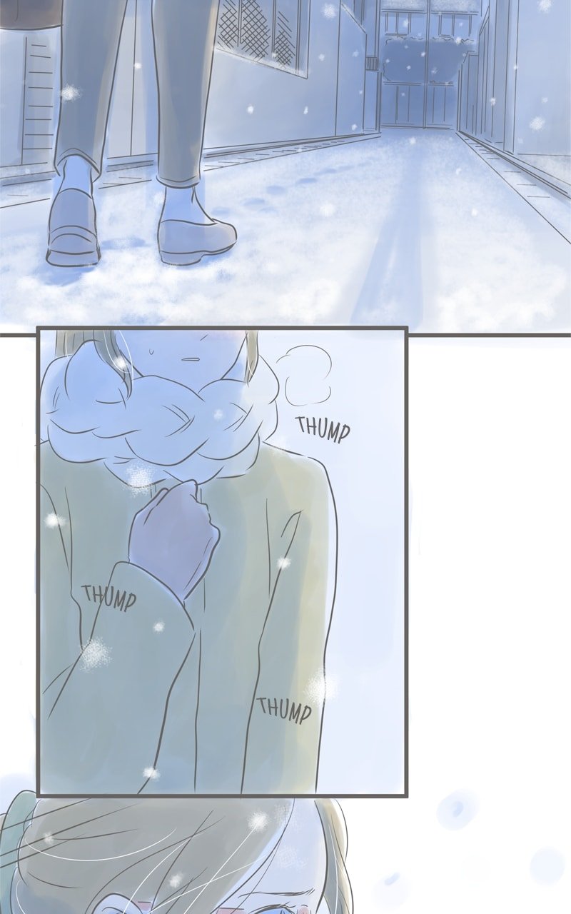 Amid the Changing Seasons