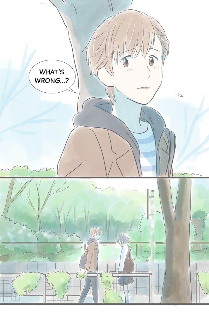 Amid the Changing Seasons