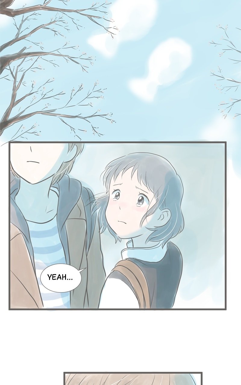 Amid the Changing Seasons