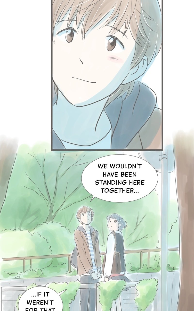Amid the Changing Seasons