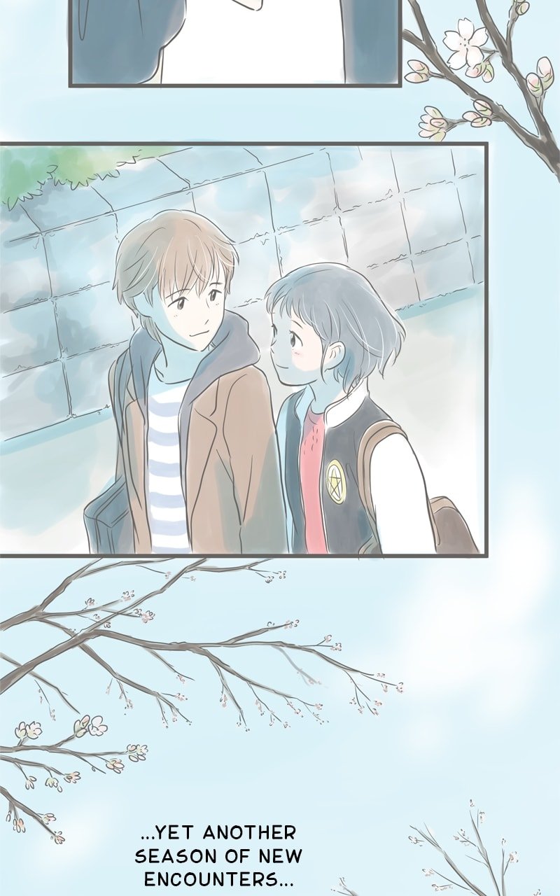 Amid the Changing Seasons