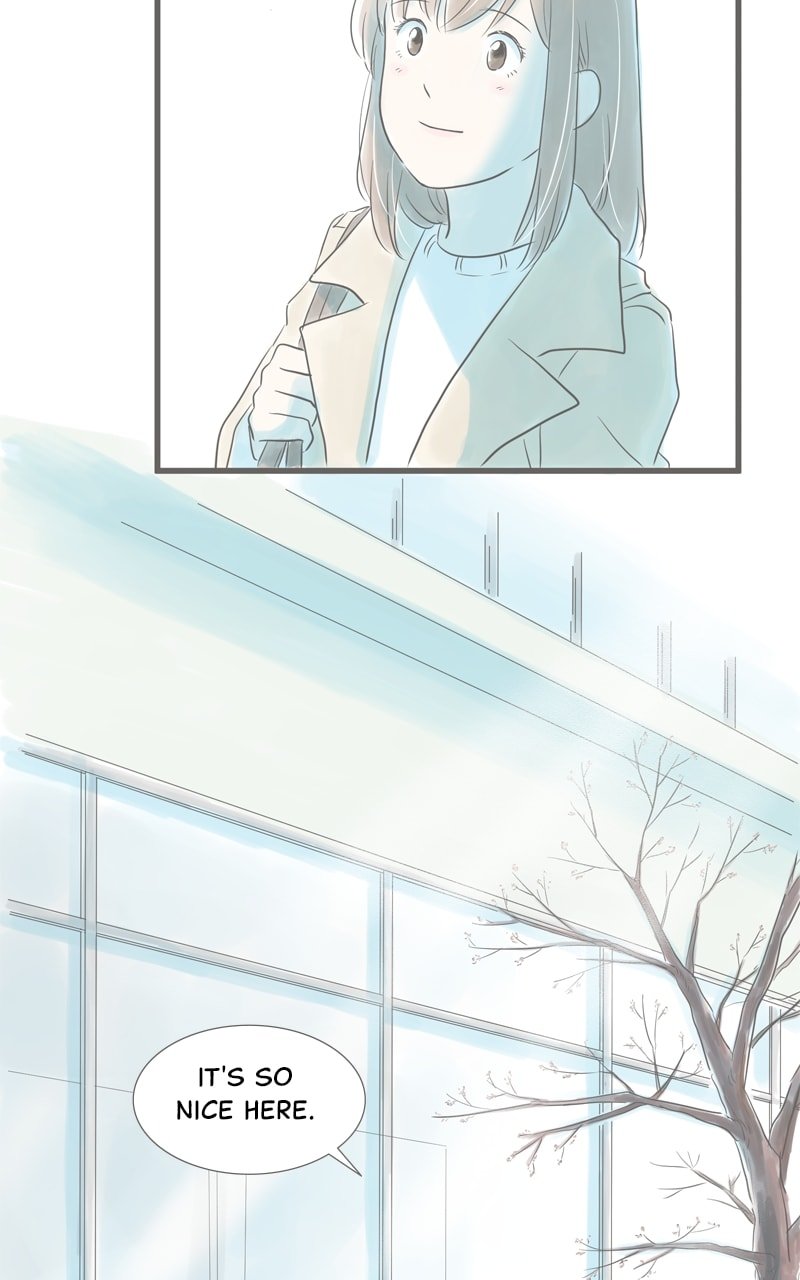 Amid the Changing Seasons