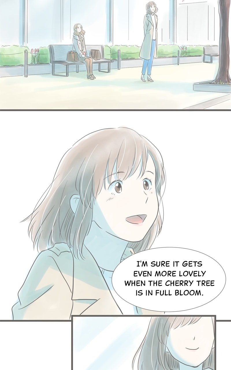 Amid the Changing Seasons