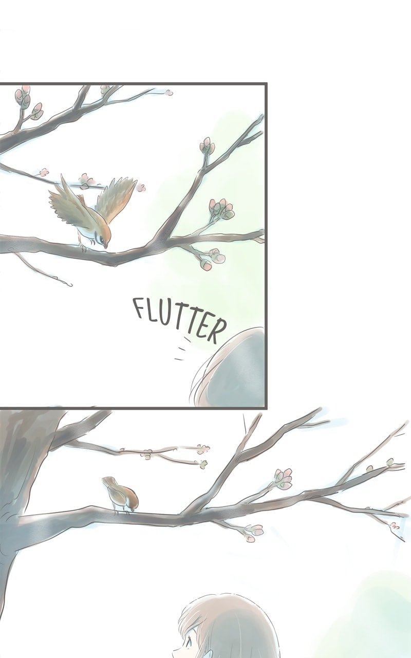 Amid the Changing Seasons