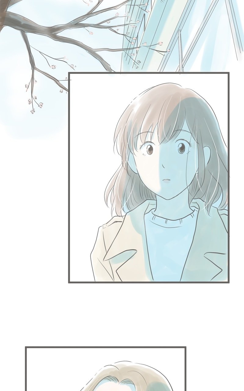 Amid the Changing Seasons