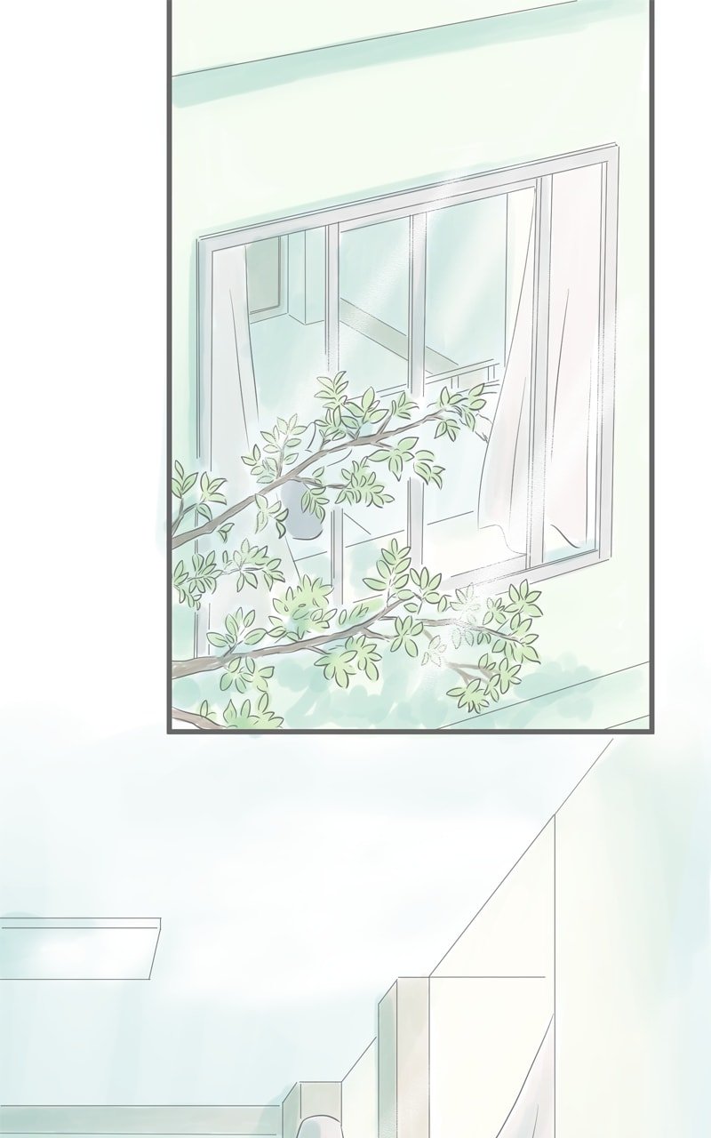 Amid the Changing Seasons