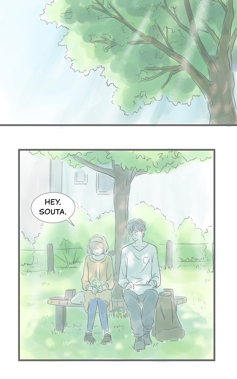 Amid the Changing Seasons