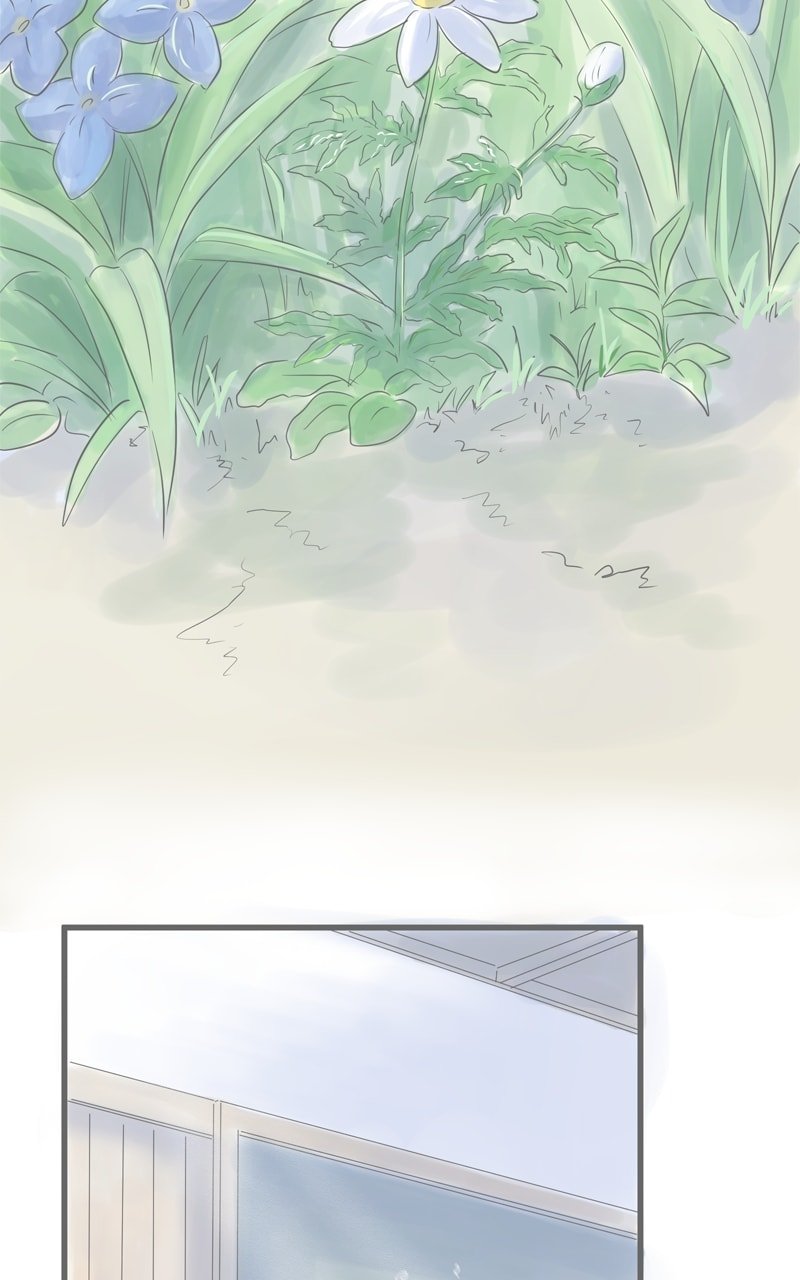 Amid the Changing Seasons