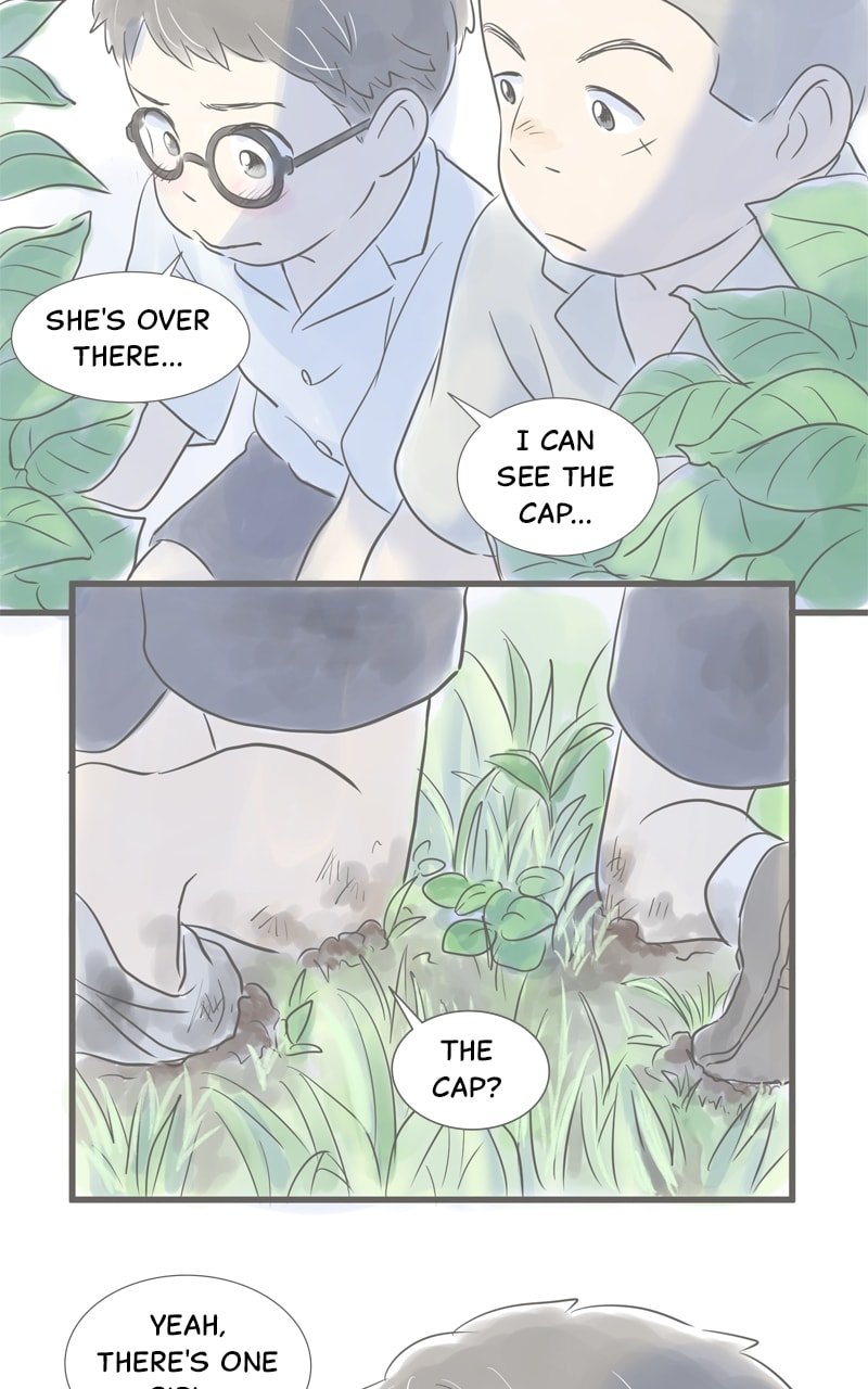 Amid the Changing Seasons