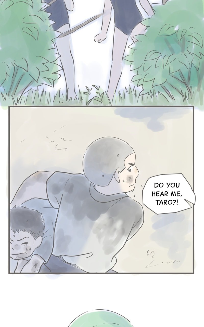 Amid the Changing Seasons
