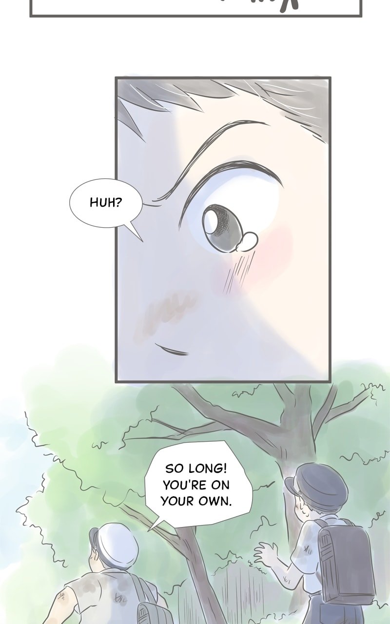 Amid the Changing Seasons