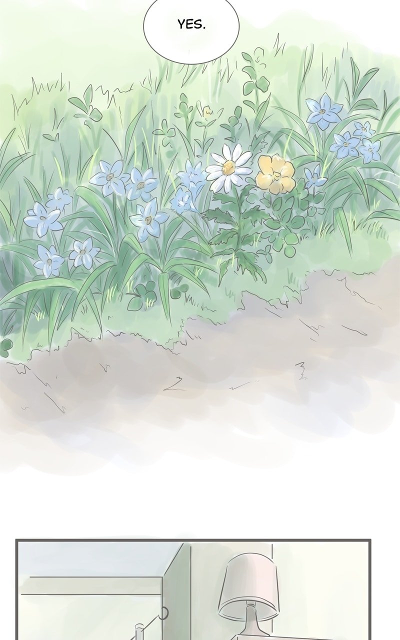 Amid the Changing Seasons