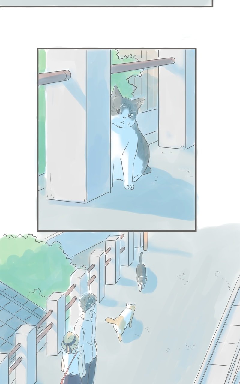 Amid the Changing Seasons