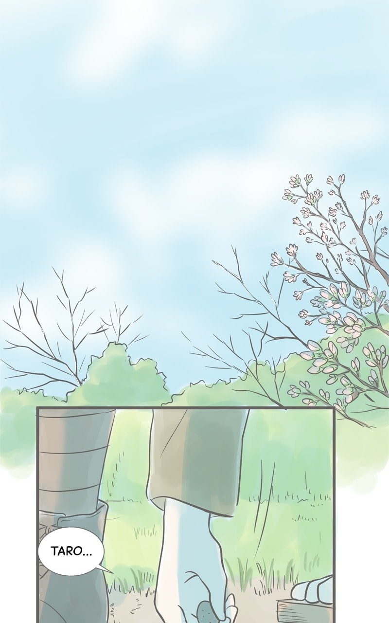 Amid the Changing Seasons