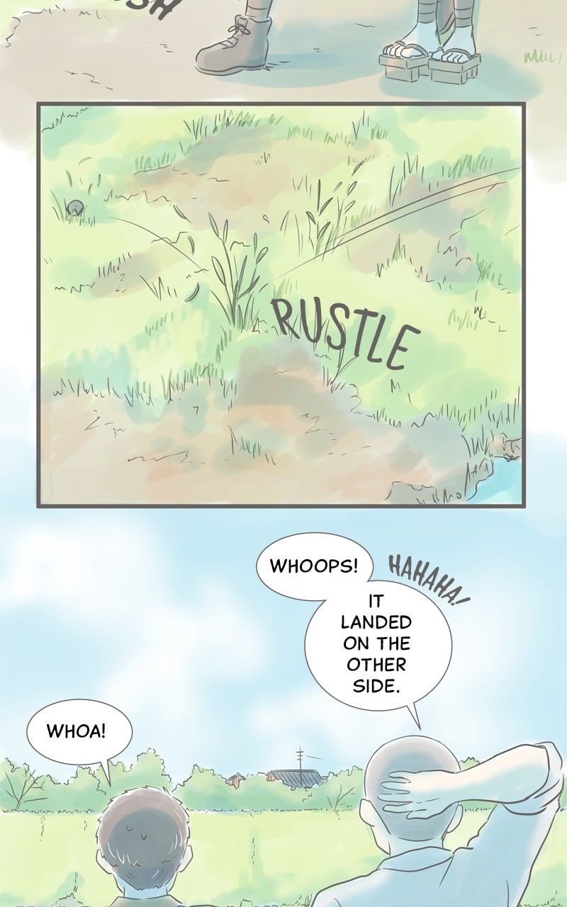 Amid the Changing Seasons