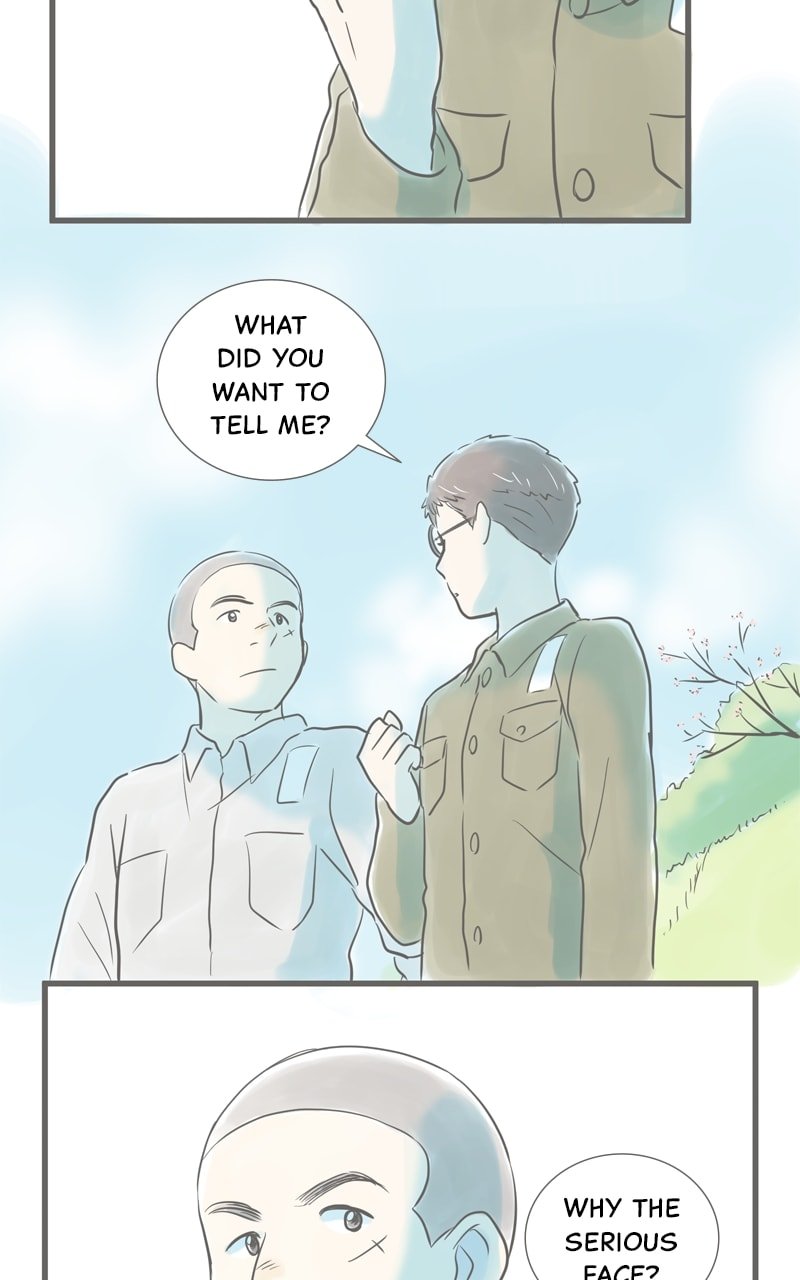 Amid the Changing Seasons