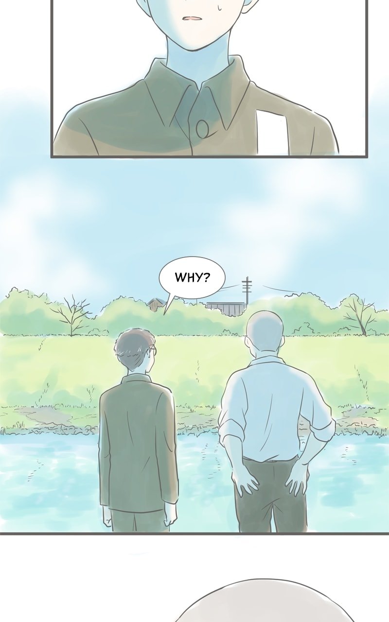 Amid the Changing Seasons