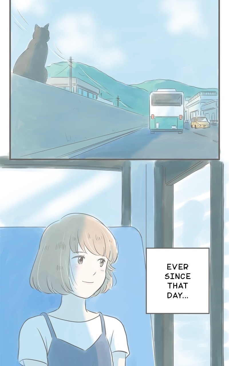 Amid the Changing Seasons