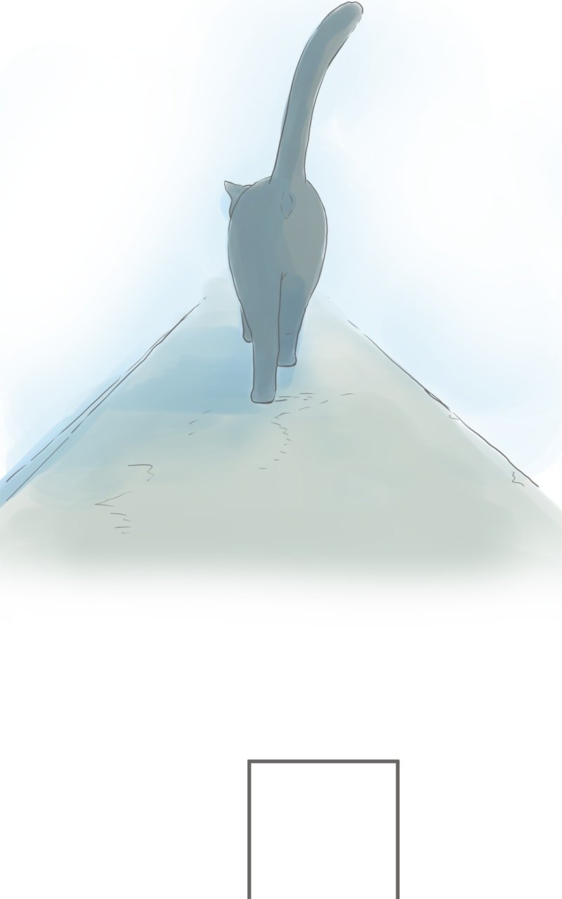 Amid the Changing Seasons