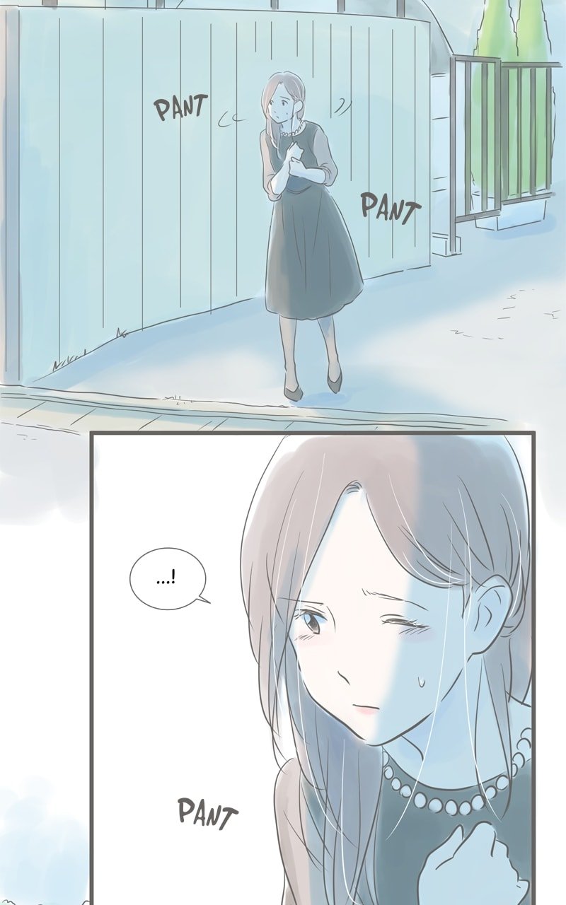 Amid the Changing Seasons